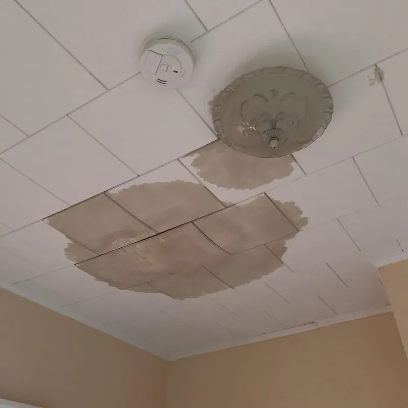 Ceiling Water Damage Repair in Riley County, KS